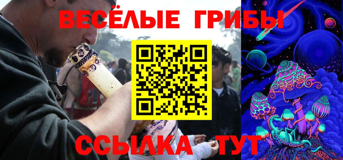Курск  Галлюциногенные грибы GOLDEN TEACHER  Вход с VPN 