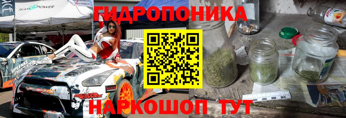 Бошки марихуана сатива Курск